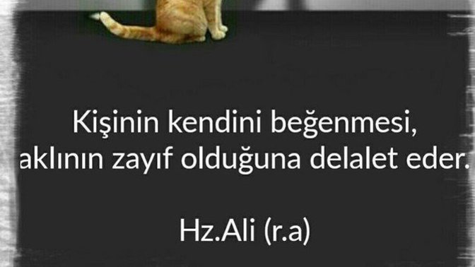 Kendini beğenmiş, egolu , kibirli biri misiniz?