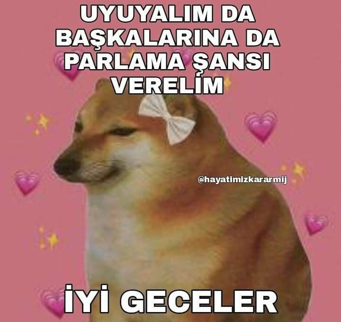 Sizi önemsemeyen insanlara tavrınız ne oluyor?
