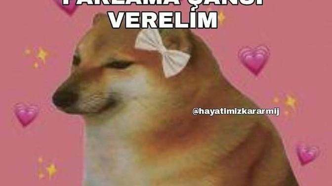 Sizi önemsemeyen insanlara tavrınız ne oluyor?