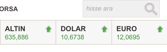 Sizce dolar kaç lirayı görür?