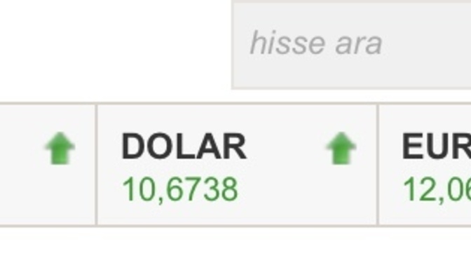 Sizce dolar kaç lirayı görür?