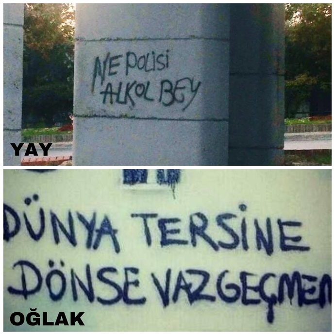 Burcuna göre hangi duvar yazısısın?