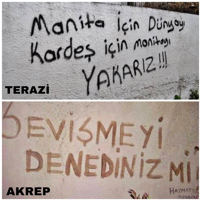 Burcuna göre hangi duvar yazısısın?