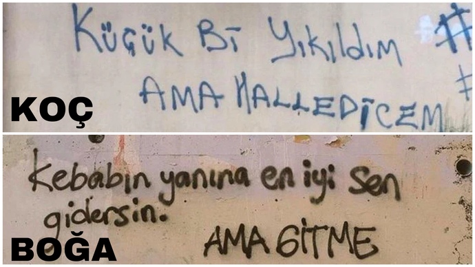 Burcuna göre hangi duvar yazısısın?