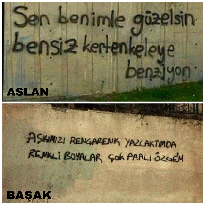 Burcuna göre hangi duvar yazısısın?