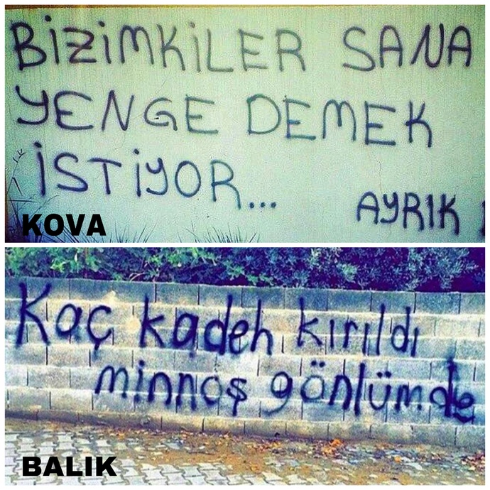 Burcuna göre hangi duvar yazısısın?
