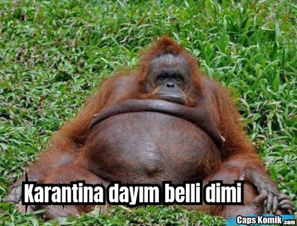 Koranaya yakalandım gençler, karantinamı nasıl verimli geçirebilirim?