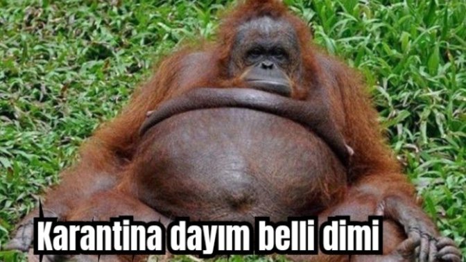 Korana'ya yakalandım gençler, karantinamı nasıl verimli geçirebilirim?
