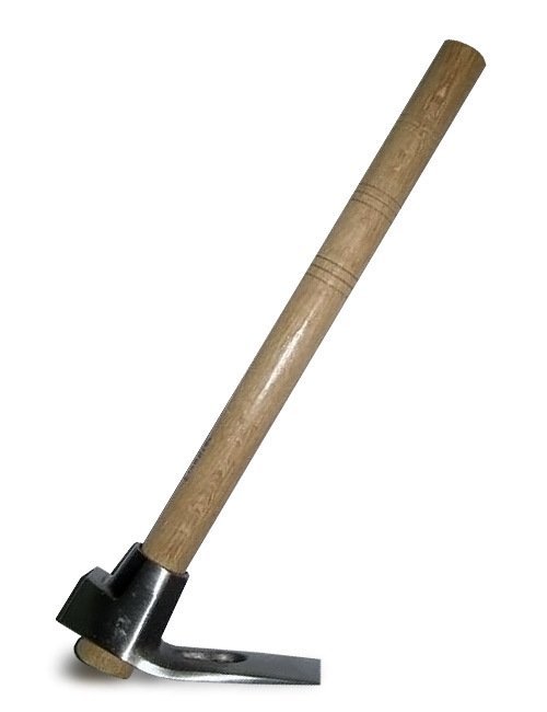 Keser sapı