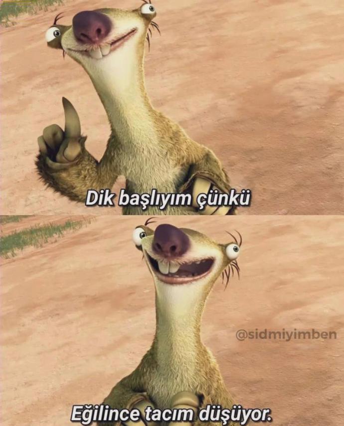 Günaydın 🖐️ Sizde böylemisiniz sizde dik başlı mısınız?