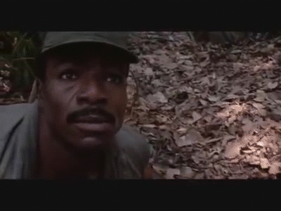 Predator 1