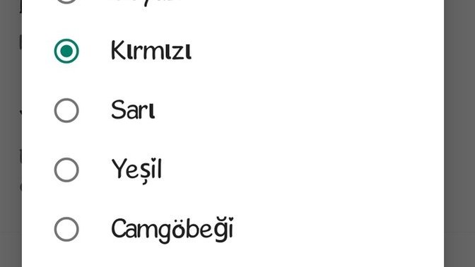 "WhatsApp led ışığı" ne anlama geliyor?