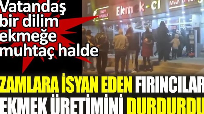 Fırıncılar Ekmek Üretimini Durdurdu, Halk Uzun Kuyruklar Oluşturdu. Ne Olacak Böyle?