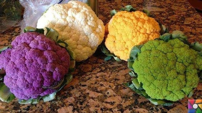 Renkli karnıbahar yediniz mi?