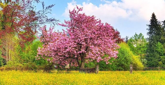 İçinizi huzurla dolduran hava olayı hangisi?
