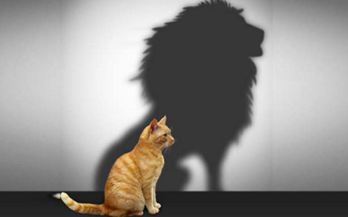Öz güvenine 10 üzerinden kaç puan verirsin?
