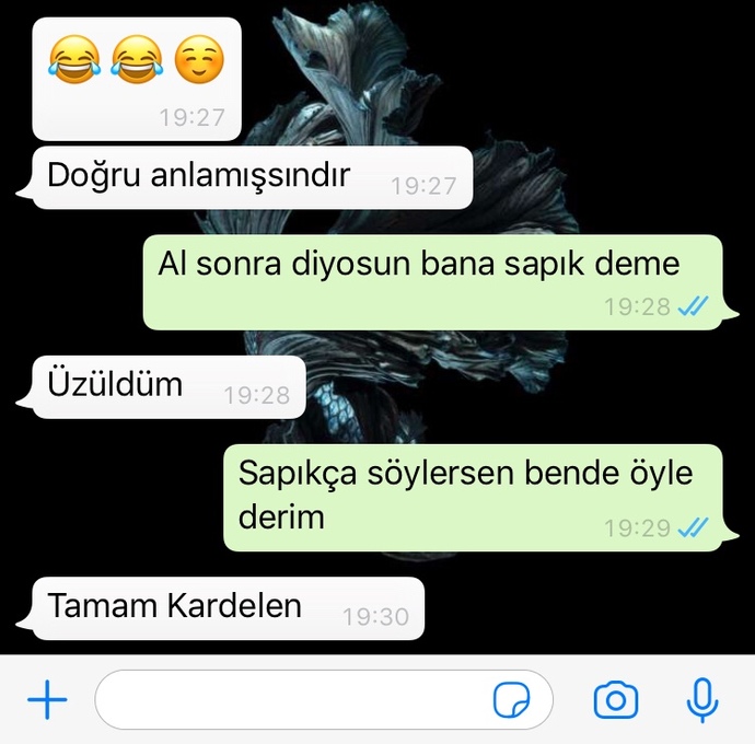 Bu erkekler neden böyle, sizce konuşmayı keseyim mi?