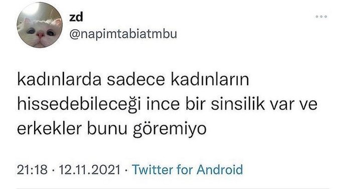 Kadınların sinsiliğini gene yalnızca kadınlar mı anlar?