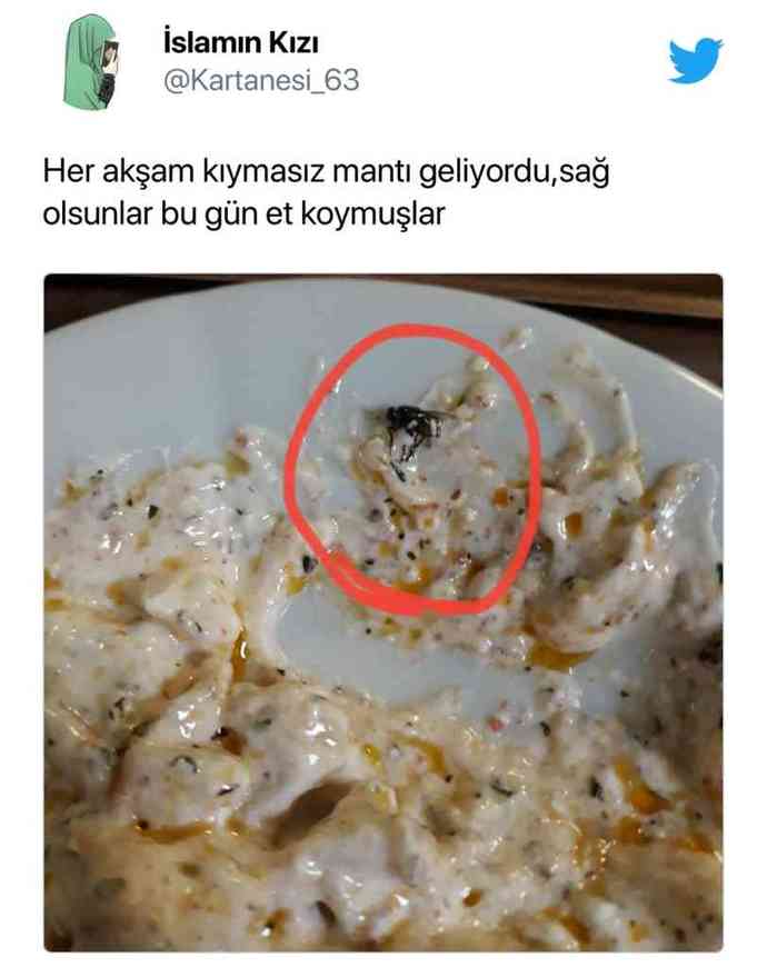 KYK Yurtlarında kalan öğrencilerin yemekleri gündem oldu! Gerçekten içim acıdı, siz ne düşünüyorsunuz?