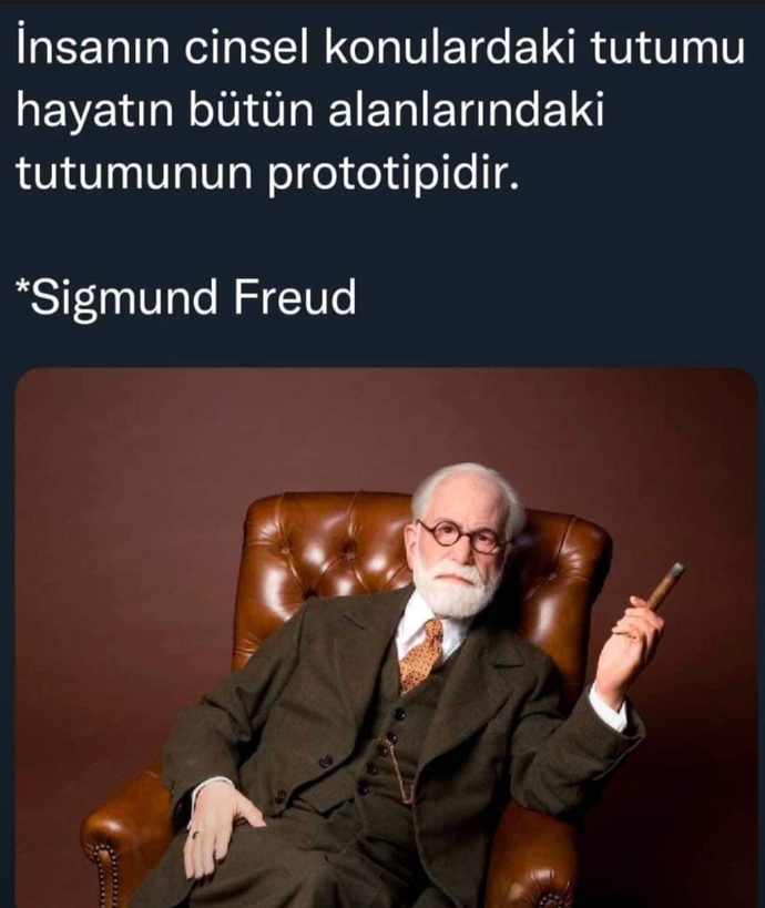 Sence "erkekler birlikte olmak istemediği kadınla arkadaş olmaz" diyen Freud haklı mı?