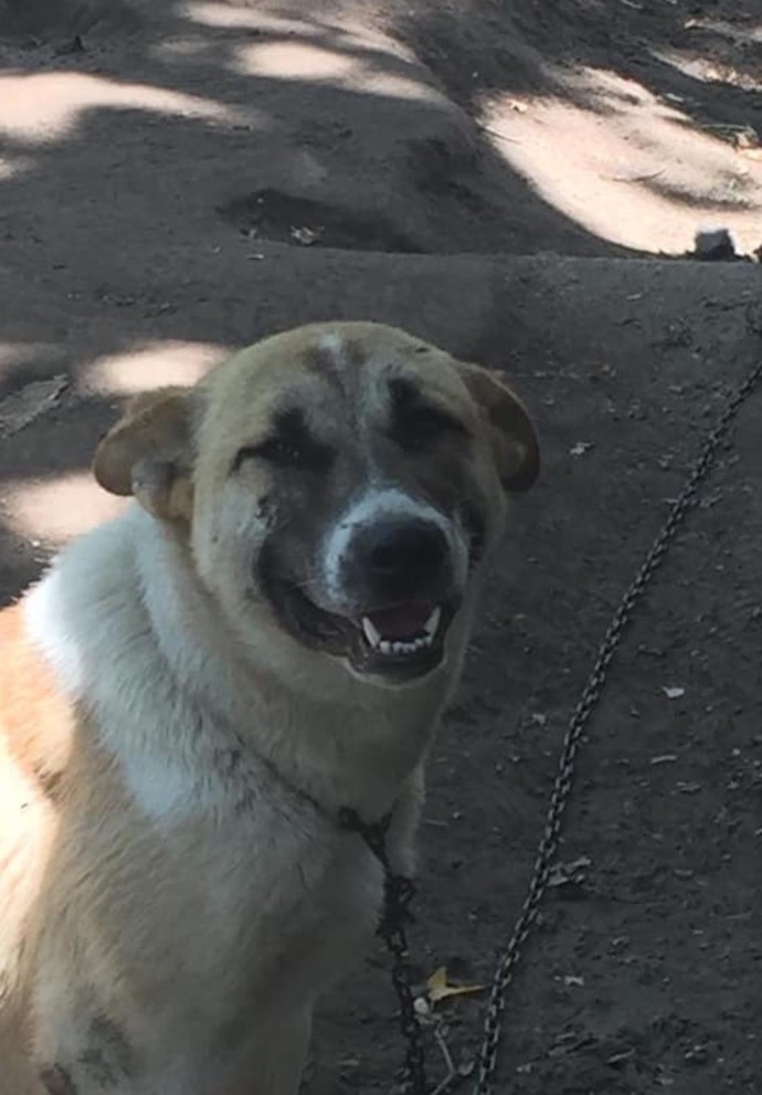 Bardak kirlenmesin diye sürahiden suyu dudak değdirmeden içtim, düşünceli bir erkek miyim 😧?