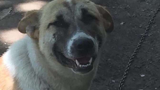 Bardak kirlenmesin diye sürahiden suyu dudak değdirmeden içtim, düşünceli bir erkek miyim 😧?