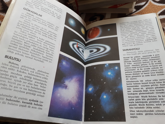 Okuduğunuz ilk kitap hangisiydi ve kaç yaşında okudunuz?