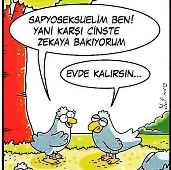 Zekadan cinsel anlamda etkilenen sapyoseksüeller hakkında ne düşünüyorsunuz?