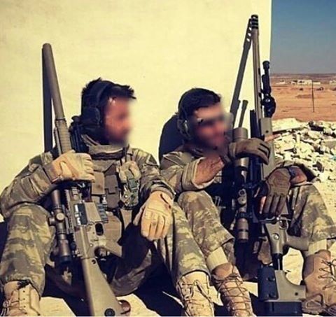 bordo bereliler mi yoksa satlar mı ?