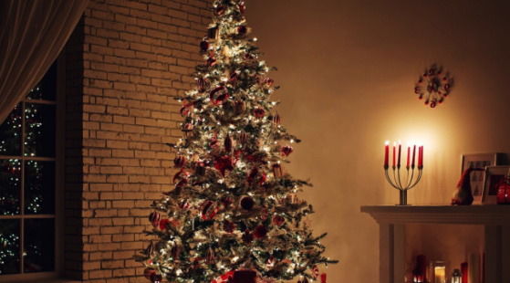 Sizin evinizde noel zamanı noel ağacı bulunuyor mu 🎄 ?