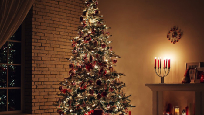Sizin evinizde noel zamanı noel ağacı bulunuyor mu 🎄 ?