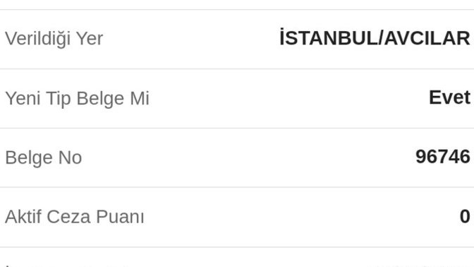 "Aktif ceza puanı 0" ne demek?