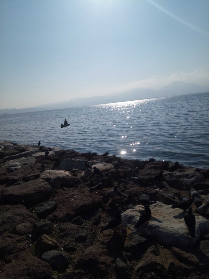 Bu soruya galerindeki son görseli atar mısın?