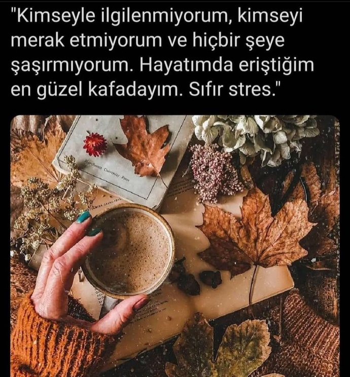 Bu soruya galerindeki son görseli atar mısın?