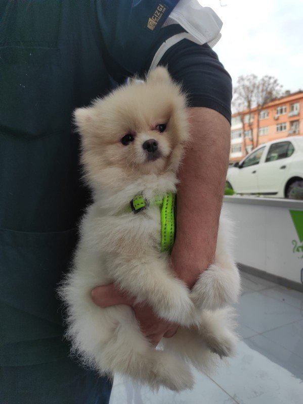 Bu soruya galerindeki son görseli atar mısın?