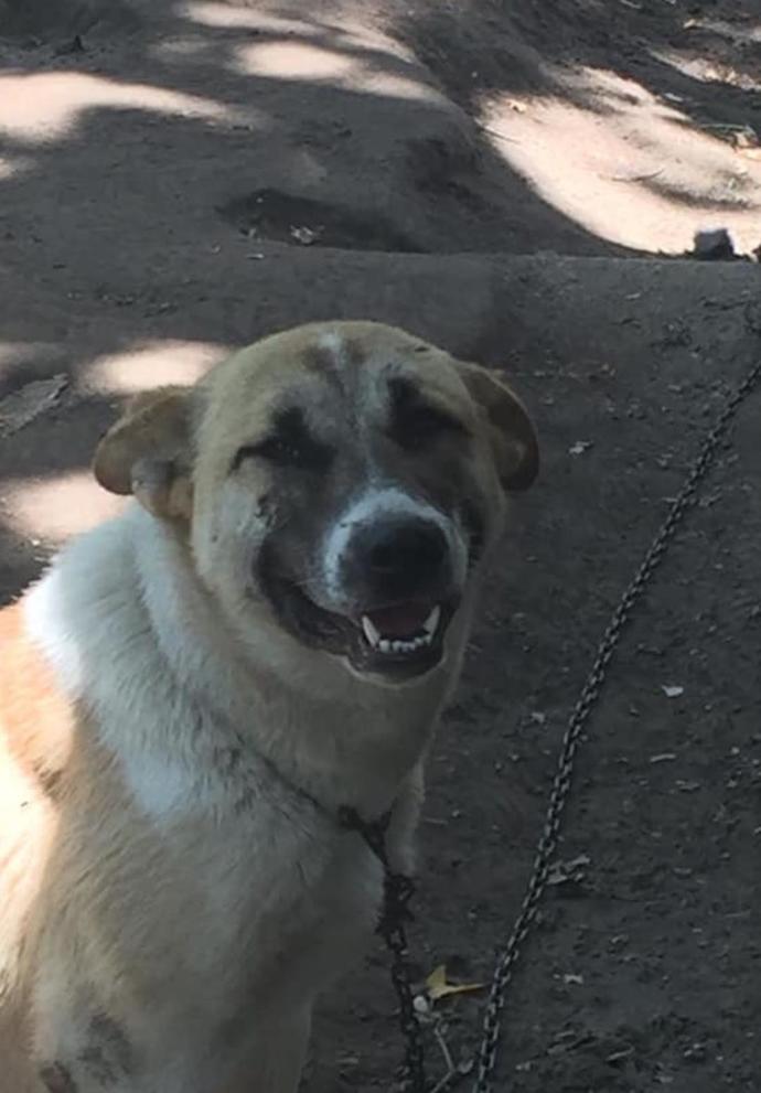 Bu soruya galerindeki son görseli atar mısın?
