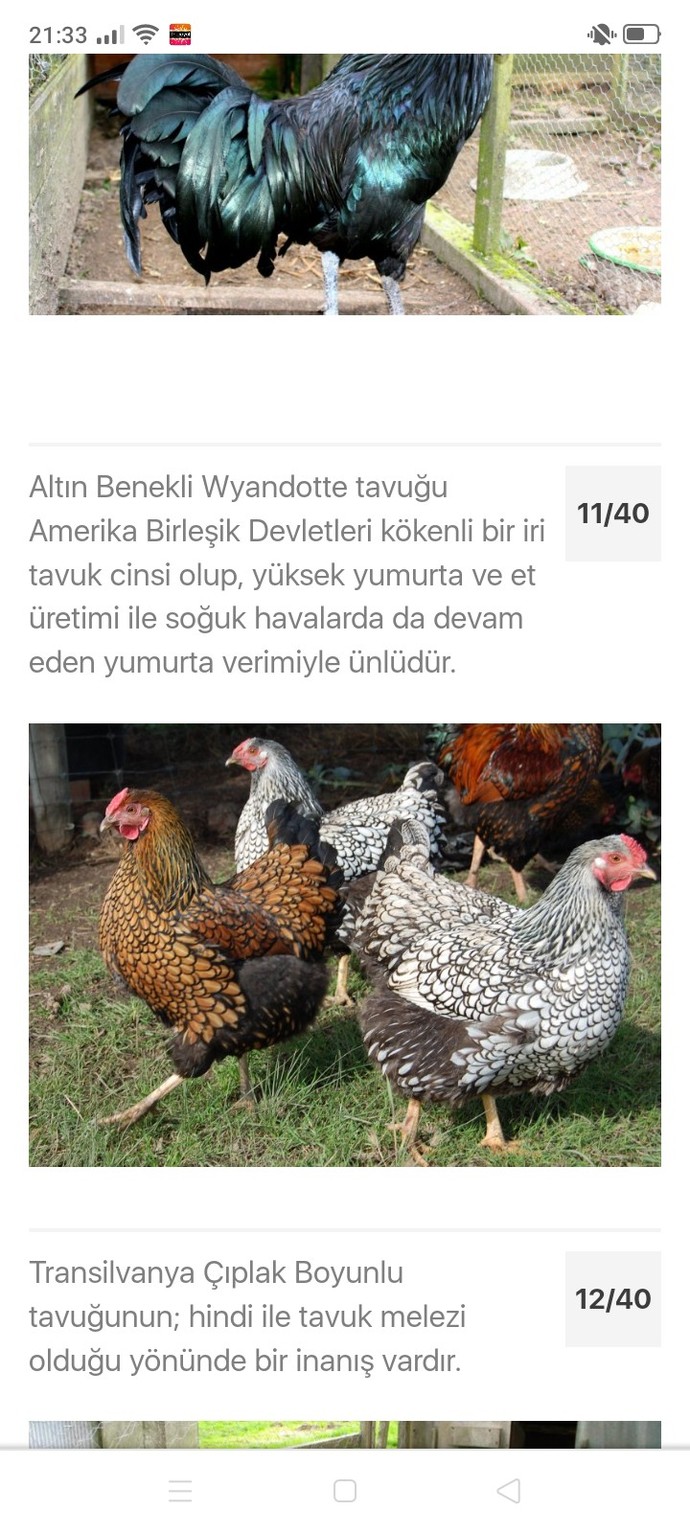 Bu soruya galerindeki son görseli atar mısın?