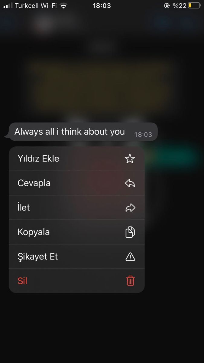 Bu soruya galerindeki son görseli atar mısın?