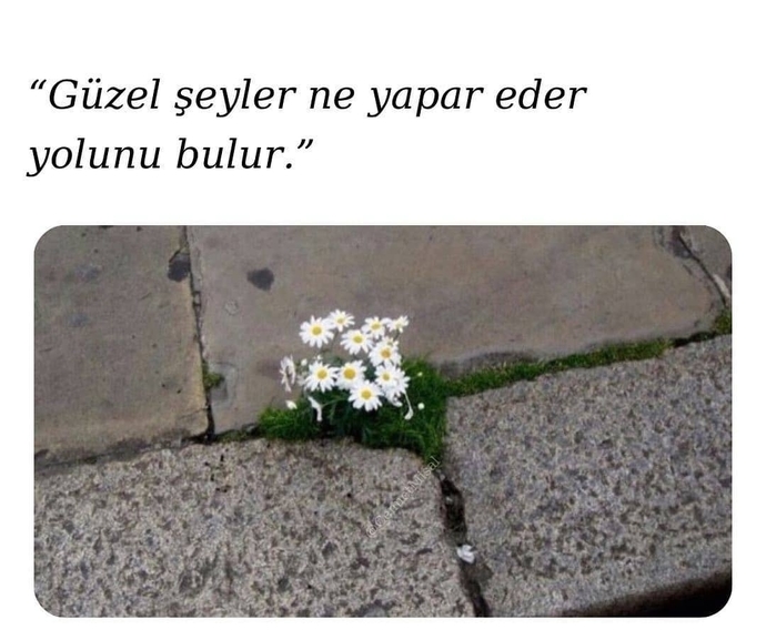 Bu soruya galerindeki son görseli atar mısın?