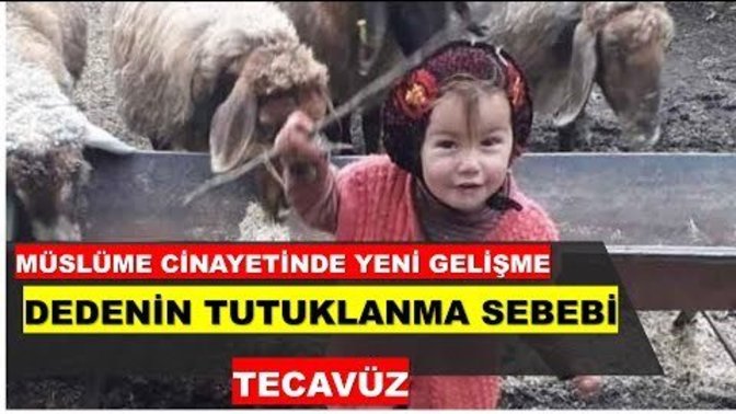 Müslüme'nin dedesinin tutuklanma sebebi tecavüzmüş. Ne düşünüyorsunuz?