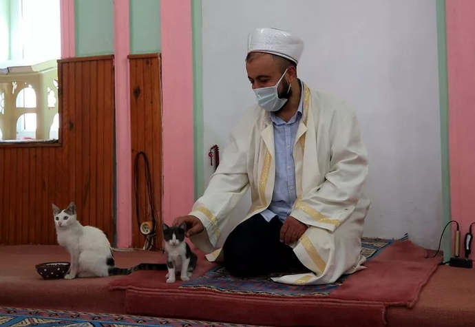 Hayvansever imam havalar soğuyunca caminin kapısını kedilere açtı. Soğuk havalarda kedileri apartmana alıyor musunuz?