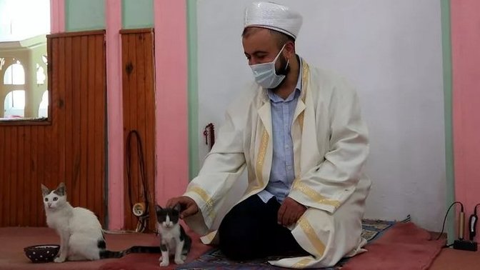 Hayvansever imam havalar soğuyunca caminin kapısını kedilere açtı. Soğuk havalarda kedileri apartmana alıyor musunuz?