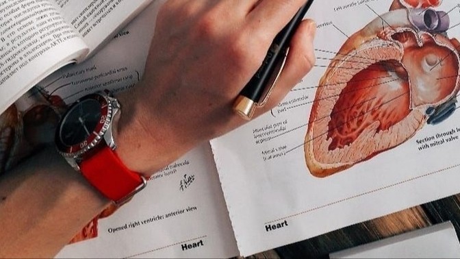 Doktor seçiminde cinsiyete önem veriyor musunuz?