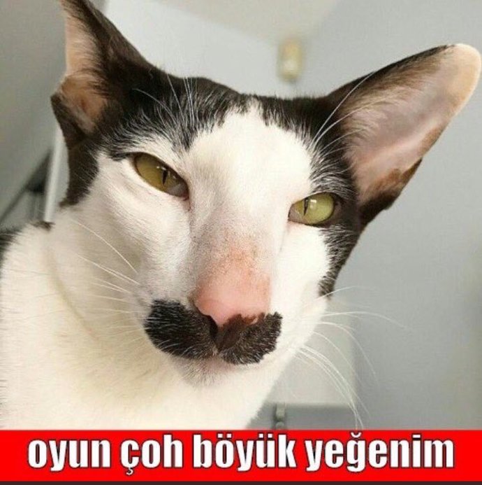 Orhan Gencebay: 'Döviz kuru dış güçler tarafından kasıtlı çıkarıldı' dedi. Sizce haklı mı?