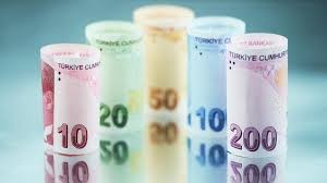 Ülke ekonomisini savunanların ortak özellikleri?