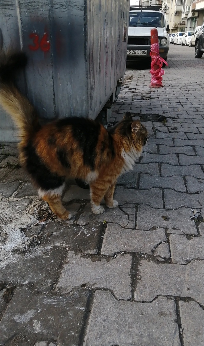 Kafayı mı yedim acaba?
