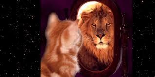 Kedi gibi uysal mısınız, yoksa aslan gibi yırtıcı mı?