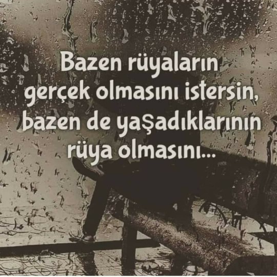 Siz hanginizi istersiniz?