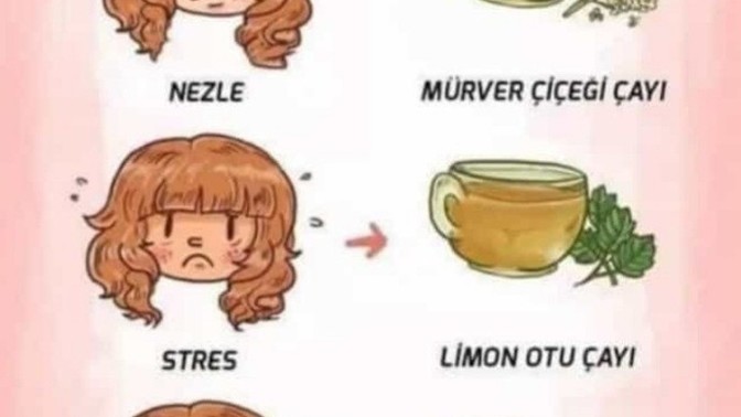 Sizin neye ihtiyacınız var?