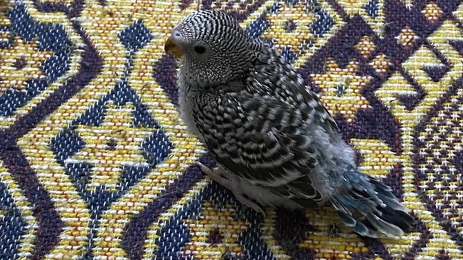 Tatlı misafirimiz dünyaya geldi ismi ne olsun 😊?